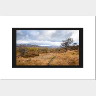 Autumn on Holme Fell Posters and Art